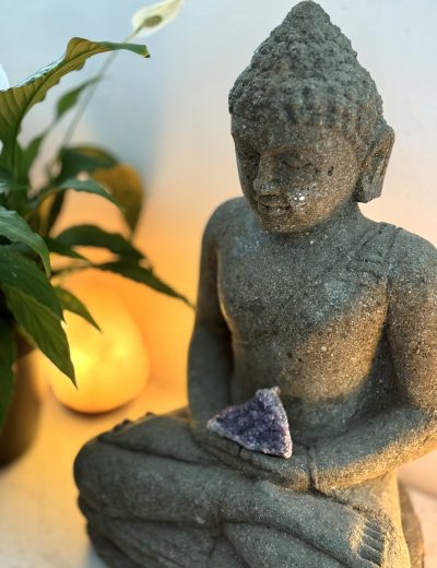 Buddha and plant